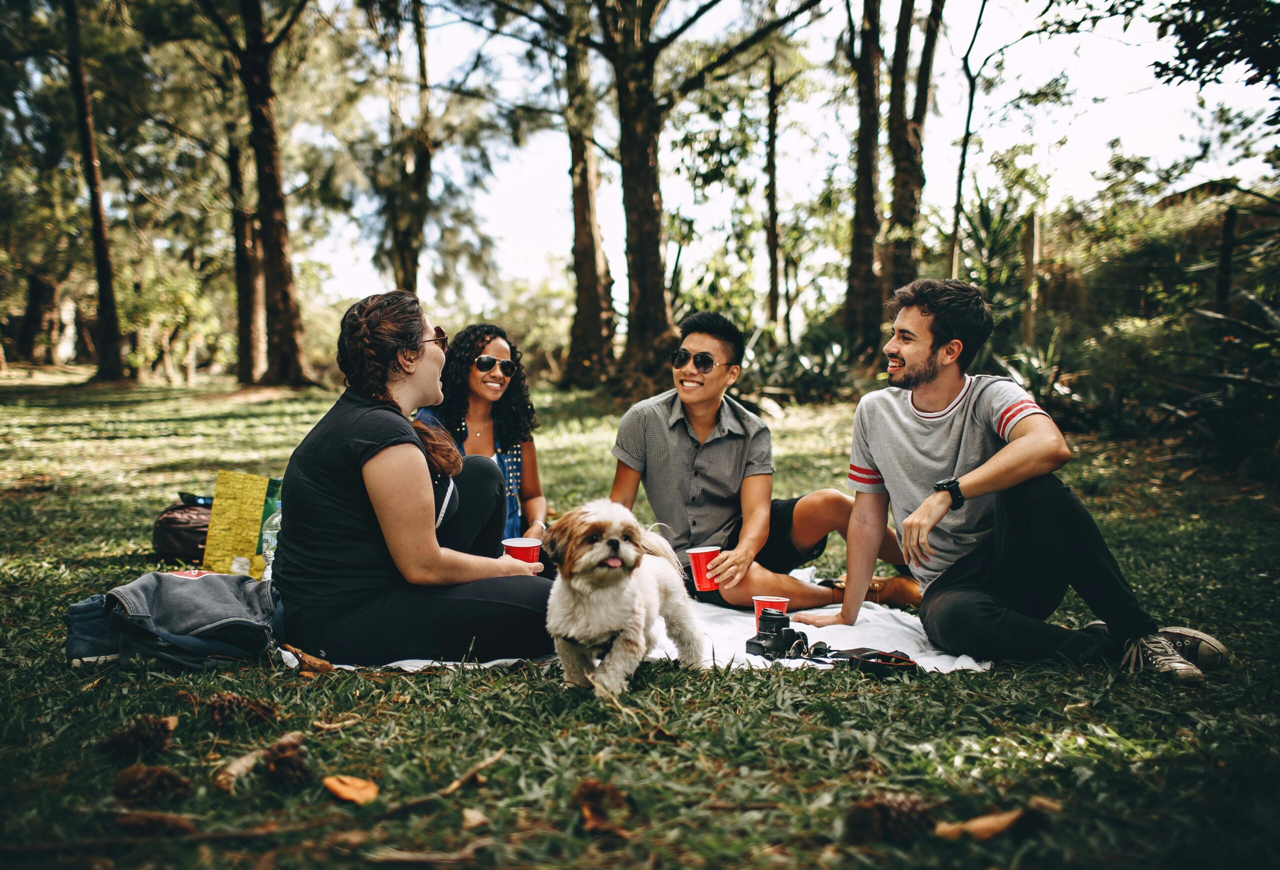 Diverse group of young friends relaxing together in a park, representing the challenge of building friendships and social connections while living abroad in Korea.