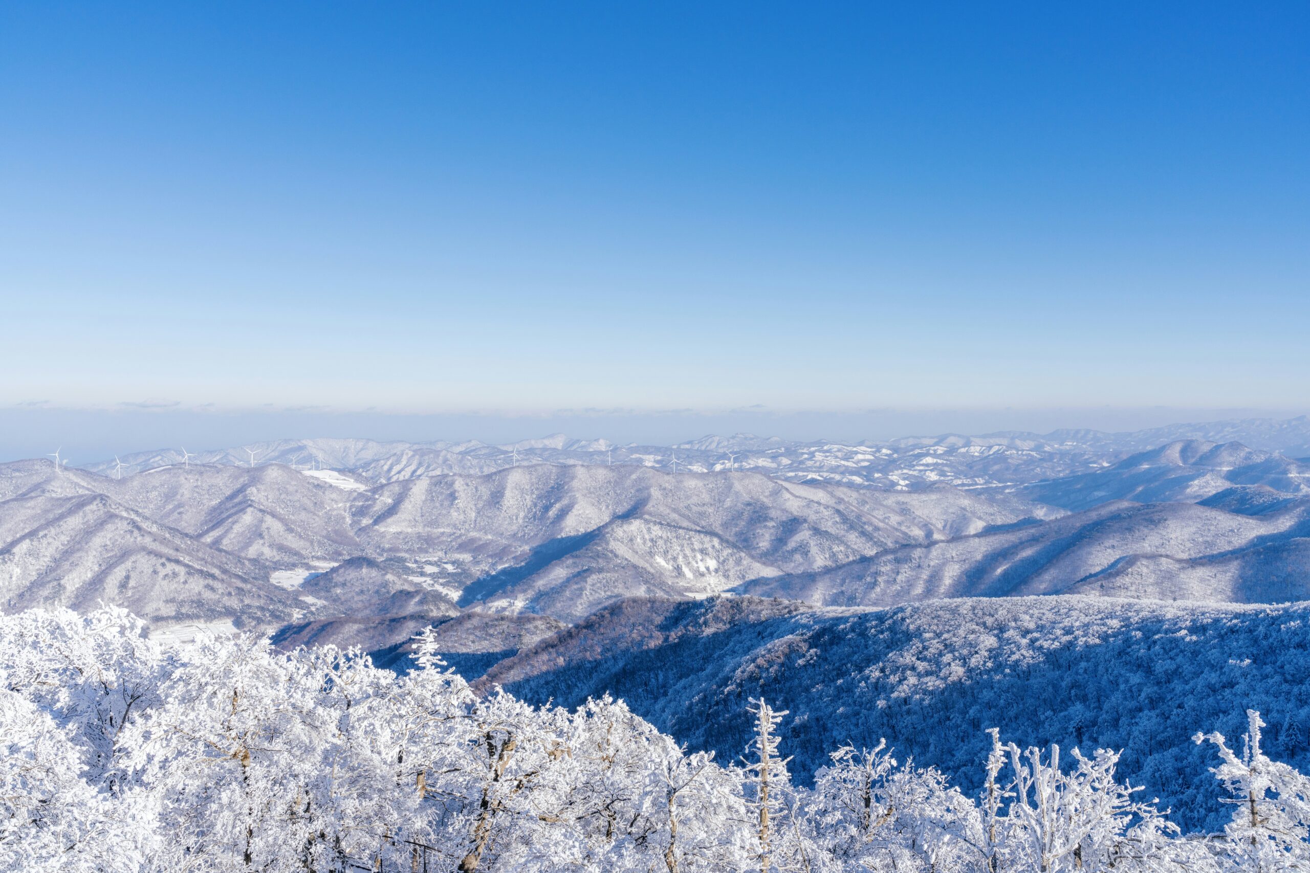 Chasing Snow in Korea: My Favorite Winter Destinations for a Real Snowfall Experience